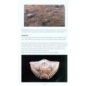 FOSSILS: A PHOTOGRAPHIC FIELD GUIDE 3