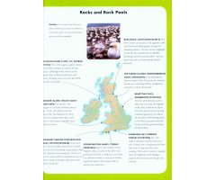 NICK BAKER'S BRITISH WILDLIFE: A MONTH BY MONTH GUIDE 3
