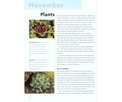NICK BAKER'S BRITISH WILDLIFE: A MONTH BY MONTH GUIDE 5
