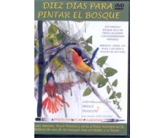 DVD DIEZ DÍAS PARA PINTAR EL BOSQUE