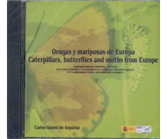 CD ROM ORUGAS Y MARIPOSAS DE EUROPA/ CATERPILLARS, BUTTERFLIES AND MOTHS FROM EUROPE