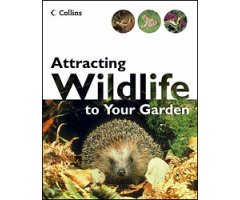  ATTRACTING WILDLIFE TO YOUR GARDEN