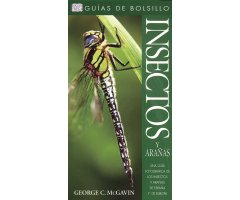 GUÍAS DE BOLSILLO. INSECTOS Y ARAÑAS