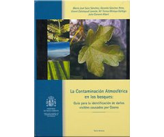 LA CONTAMINACIÓN ATMOSFÉRICA EN LOS BOSQUES: GUÍA PARA LA IDENTIFICACIÓN DE DAÑOS VISIBLES CAUSADOS POR OZONO