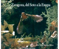 ZARAGOZA, DEL SOTO A LA ESTEPA