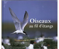 OISEAUX AU FIL D'ETANGS. A LA DÉCOUVERTE DES OISEAUX DU LITTORAL LANGUEDOCIEN