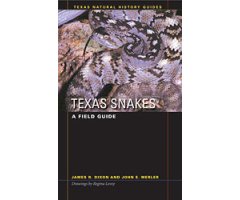 A FIELD GUIDE TEXAS SNAKES