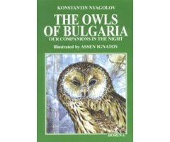 THE OWLS OF BULGARIA OUR COMPANIONS IN THE NIGHT