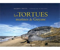 LES TORTUES MARINES DE GUYANE