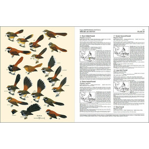 HANDBOOK OF THE BIRDS OF THE WORLD, VOL. 11 OLD WORLD FLYCATCHERS TO OLD WORLD WARBLES_1