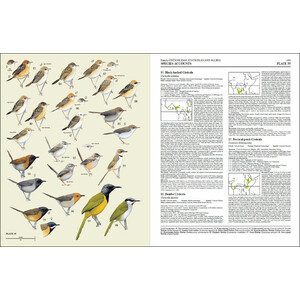 HANDBOOK OF THE BIRDS OF THE WORLD, VOL. 11 OLD WORLD FLYCATCHERS TO OLD WORLD WARBLES 4