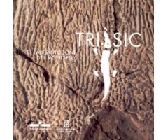 TRIÀSIC, EL LABERINTODONT DEL MONTSENY