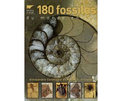 180 FOSSILES DU MONDE ENTIER