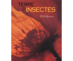 TERRE D\'INSECTES