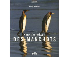 SUR LA PISTE DES MANCHOTS