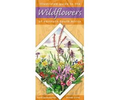 ILLUSTRATED GUIDE TO THE WILDFLOWERS OF NORTHERN SOUTH AFRICA