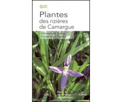 PLANTES DES RIZIÈRES DE CAMARGUE 2