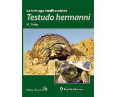 LA TORTUGA MEDITERRÁNEA, TESTUDO HERMANNI 