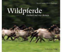 WILDPFERDE. FREIHEIT AUF VIER BEINEN