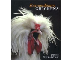 EXTRAORDINARY CHICKENS