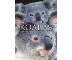 KOALAS MOVING PORTRAITS OF SERENITY