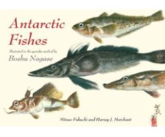 ANTARCTIC FISHES: ILLUSTRATED IN THE GYOTAKU METHOD BY BOSHU NAGASE