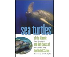 SEA TURTLES OF THE ATLANTIC AND GULF COASTS OF THE UNITED STATES