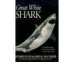 GREAT WHITE SHARK