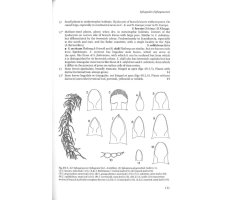 THE LIVERWORTS, MOSSES AND FERNS OF EUROPE 2