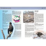 A COMPLETE GUIDE TO ARCTIC WILDLIFE_1