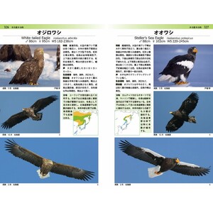 A PHOTOGRAPHIC GUIDE TO THE BIRDS OF JAPAN AND NORTH-EAST ASIA 3