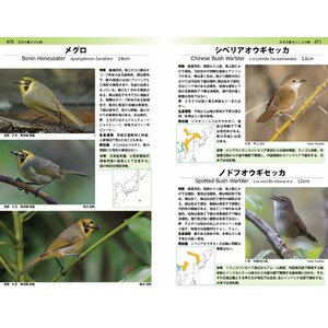 A PHOTOGRAPHIC GUIDE TO THE BIRDS OF JAPAN AND NORTH-EAST ASIA 4