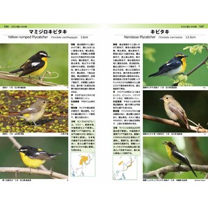 A PHOTOGRAPHIC GUIDE TO THE BIRDS OF JAPAN AND NORTH-EAST ASIA 5