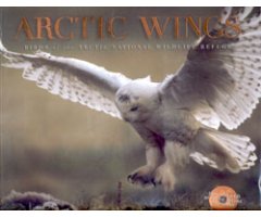 ARCTIC WINGS. BIRDS OF THE ARCTIC NATIONAL WILDLIFE REFUGE