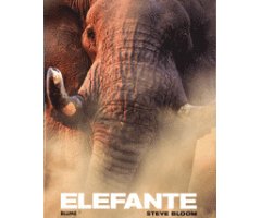 ELEFANTE