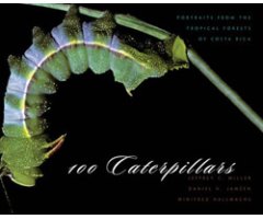 100 CATERPILLARS. PORTRAITS FROM THE TROPICAL FORESTS OF COSTA RICA 2