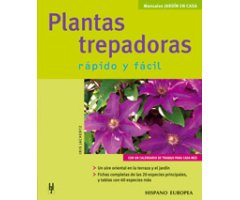 PLANTAS TREPADORAS. RÁPIDO Y FÁCIL