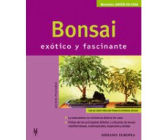 BONSAI EXÓTICO Y FASCINANTE