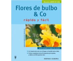 FLORES DE BULBO AND CO RÁPIDO Y FÁCIL