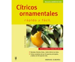 CÍTRICOS ORNAMENTALES RÁPIDO Y FÁCIL