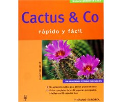 CACTUS Y CO. RÁPIDO Y FÁCIL