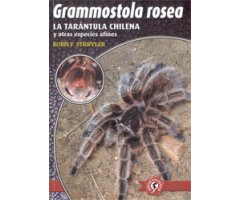 LA TARÁNTULA ROJA DE CHILE GRAMMOSTOLA ROSEA Y OTRAS ESPECIES DEL GÉNERO GRAMMOSTOLA