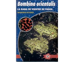 LA RANA DE VIENTRE DE FUEGO. BOMBINA ORIENTALIS