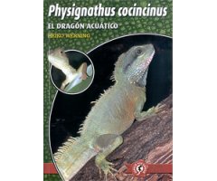 EL DRAGÓN ACUÁTICO PHYSIGNATHUS COCINCINUS