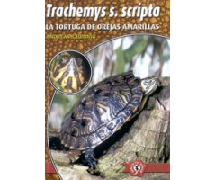 LA TORTUGA DE OREJAS AMARILLAS. TRACHEMYS S. SCRIPTA