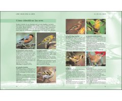 CÓMO ATRAER FAUNA AL JARDÍN 3