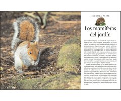 CÓMO ATRAER FAUNA AL JARDÍN 4