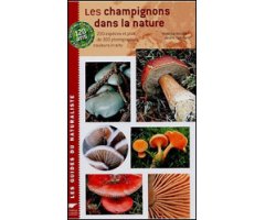 LES CHAMPIGNONS DANS LA NATURE
