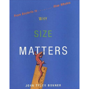 WHY SIZE MATTERS. FROM BACTERIA TO ... BLUE WHALES