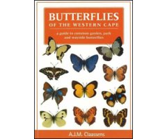 BUTTERFLIES OF THE WESTERN CAPE. A GUIDE TO COMMON GARDEN, PARK AND WAYSIDE BUTTERFLIES